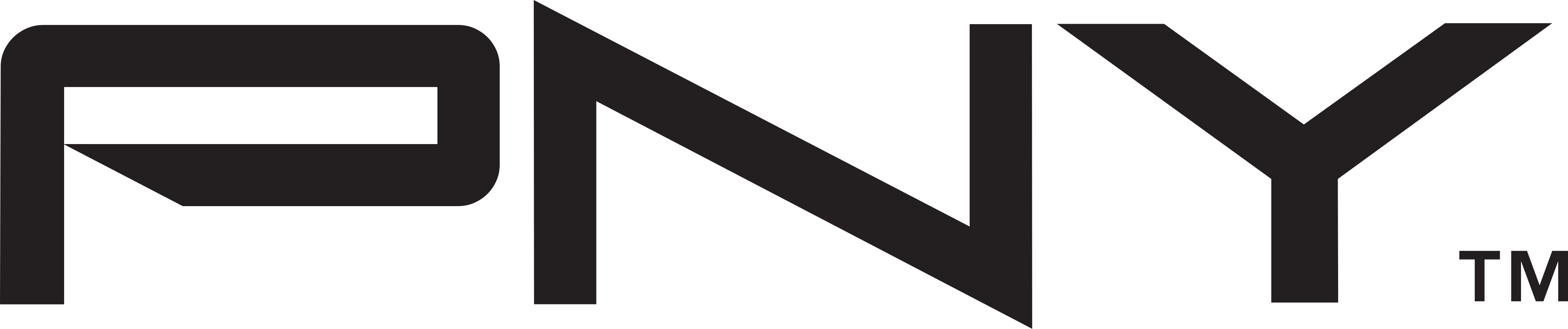 PNY logosu